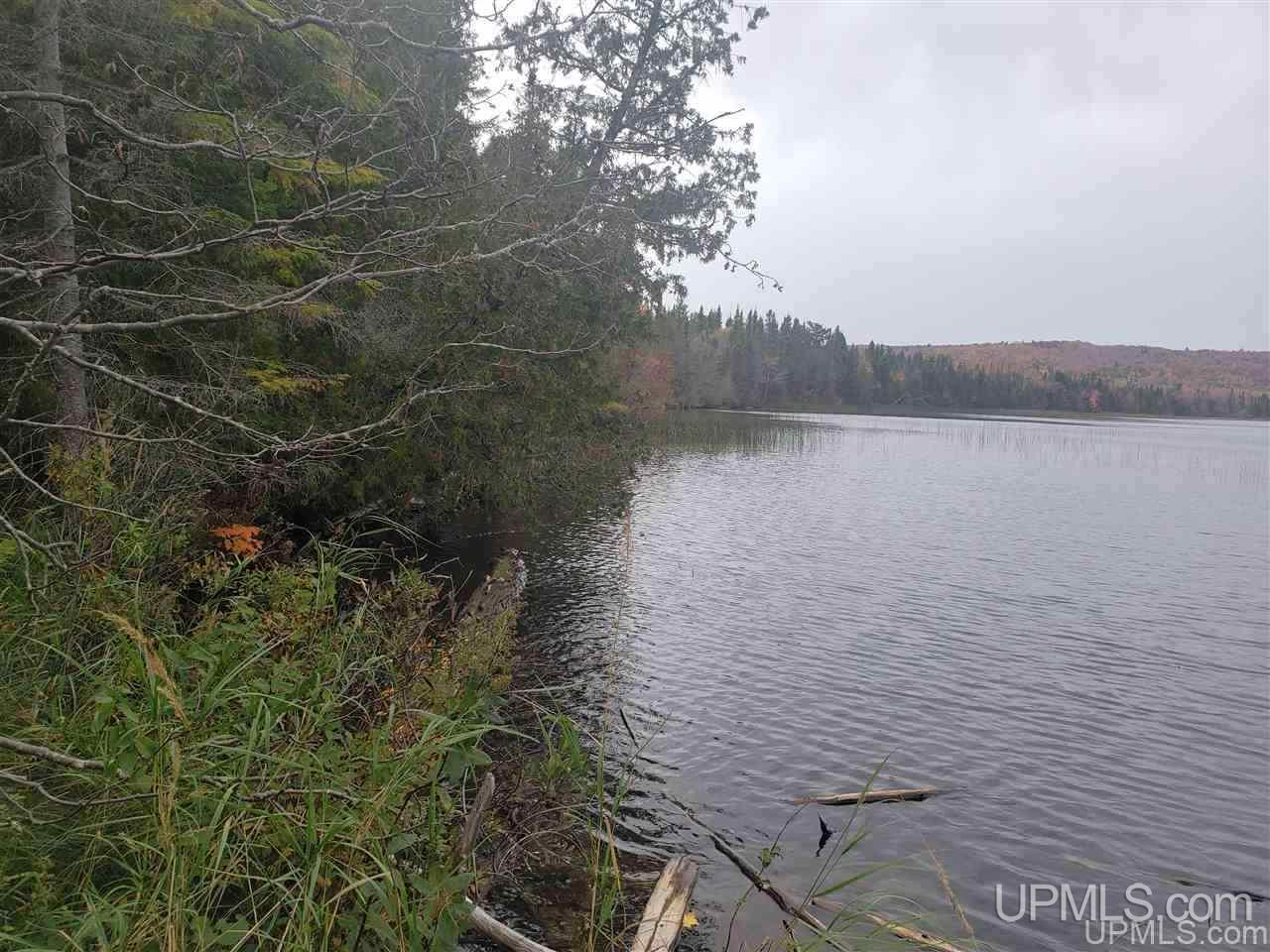 Tbd Gay Lac La Belle Road Lake Linden, MI 49950 - Photo 3 of 9