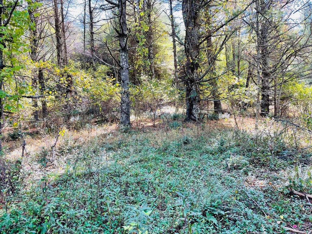 Tbd Wildcat Road Hillsville, VA 24343 - Photo 13 of 20 Gallery Image 13