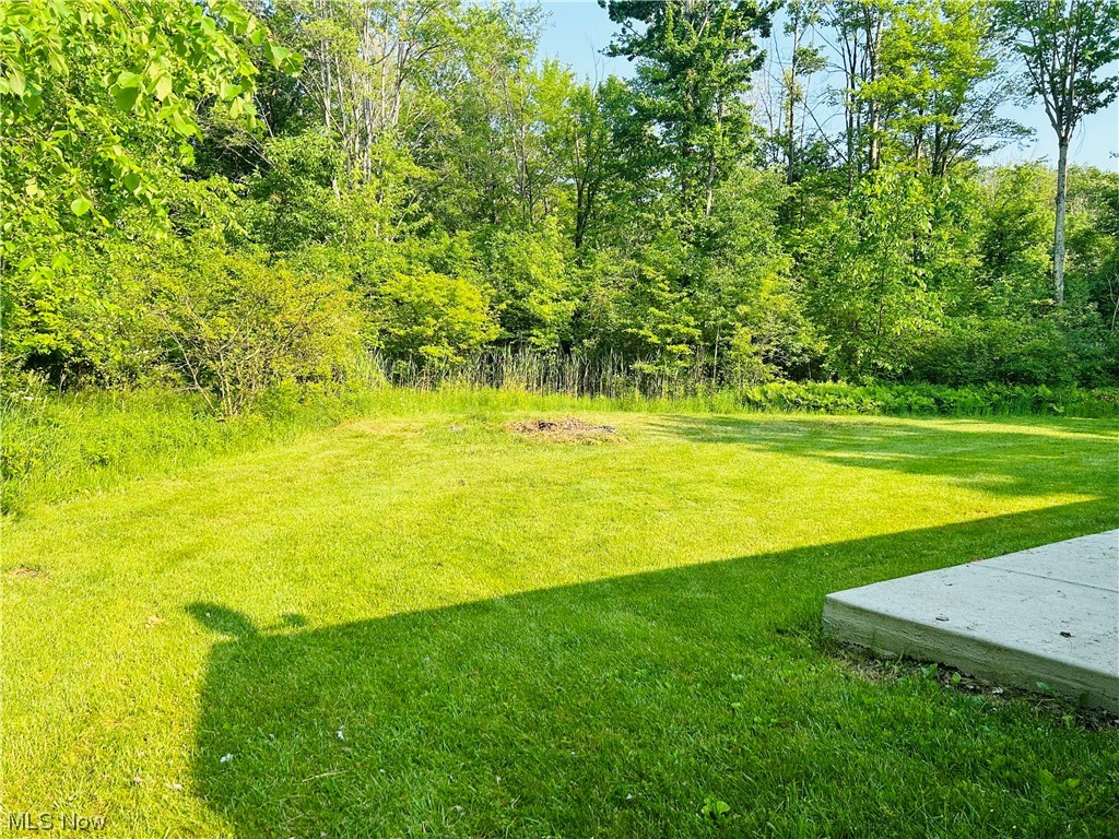 5959 Dewey Road Madison, OH 44057 - Photo 7 of 7