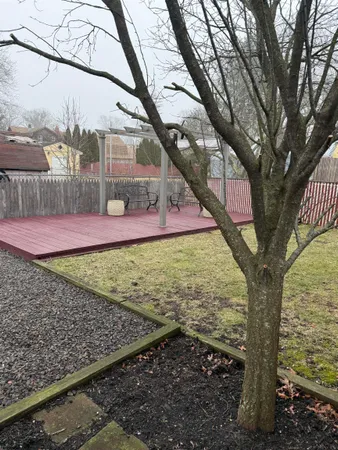 a view of a yard with large tree