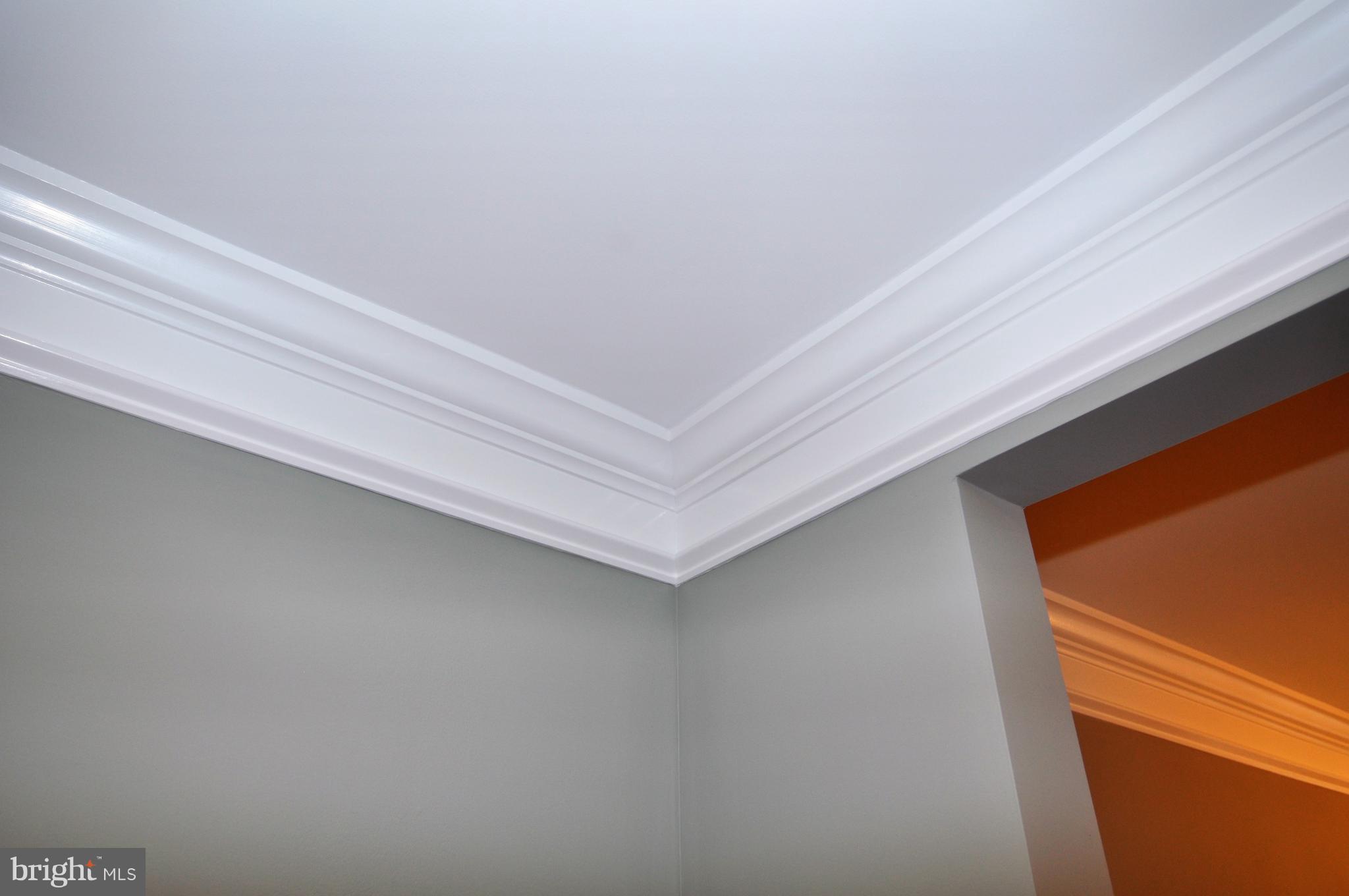 8708 Cimarron Circle Baltimore, MD 21234 - Photo 12 of 26 Crown Moldings