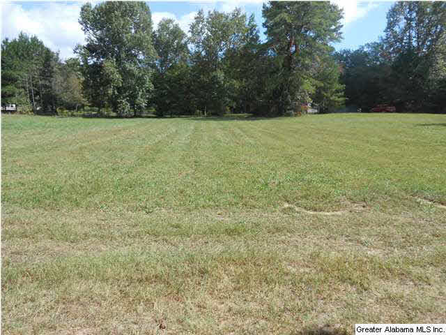 311 Sullivan Lane, Unit 4 5 Springville, AL 35146 - Photo 1 of 17 Gallery Image 1