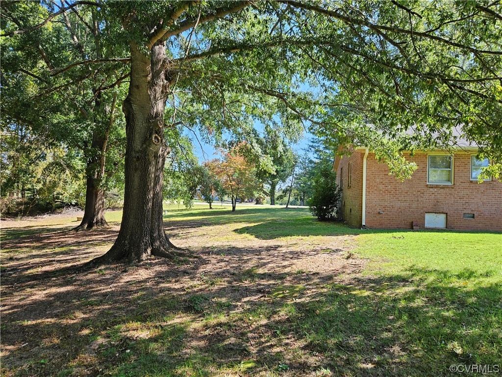 11310 Clement Town Road Amelia Court House, VA 23002 - Photo 11 of 32 a view of a tree in a yard