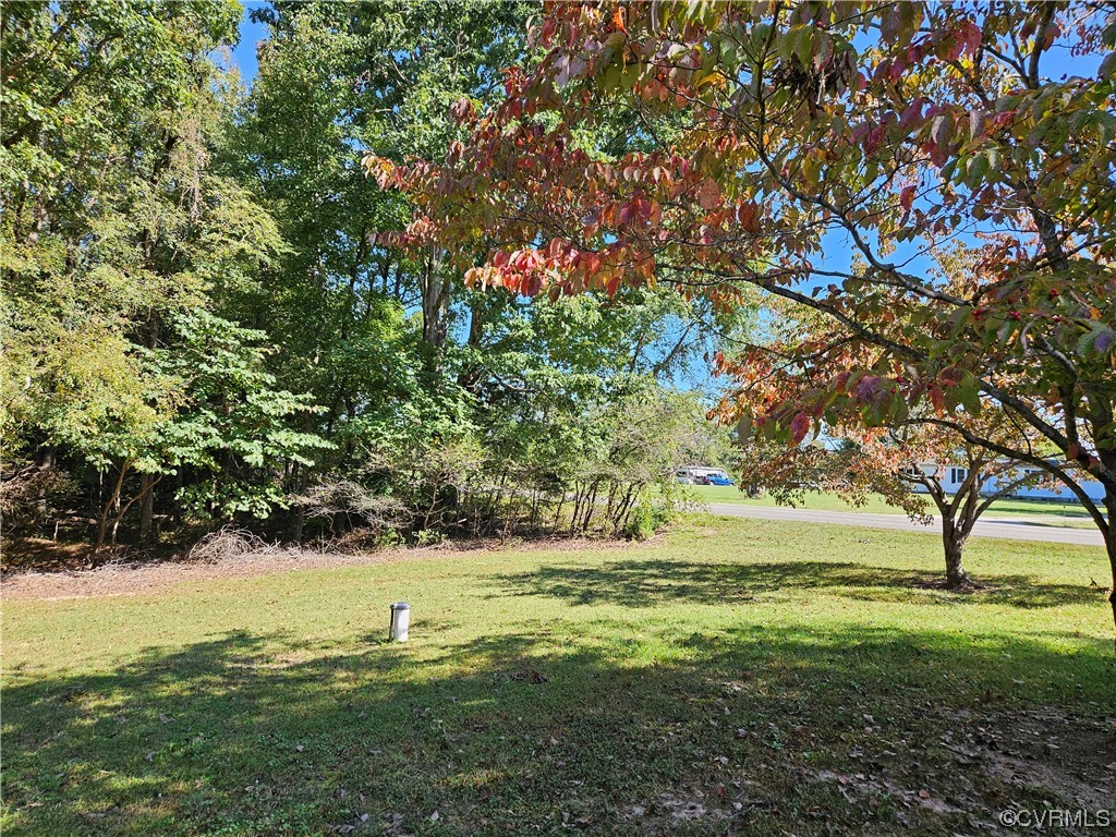 11310 Clement Town Road Amelia Court House, VA 23002 - Photo 10 of 32 a view of yard with large trees