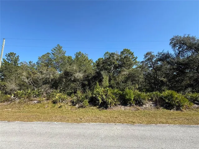 $89,000 | Ligustrum Street, Eustis, FL 32736