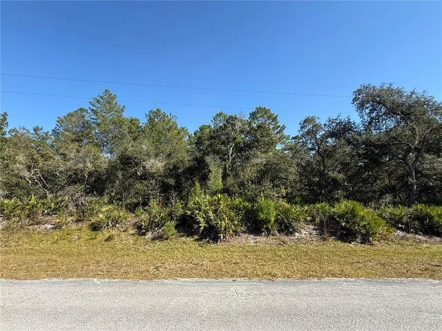 $89,000 | Ligustrum Street, Eustis, FL 32736