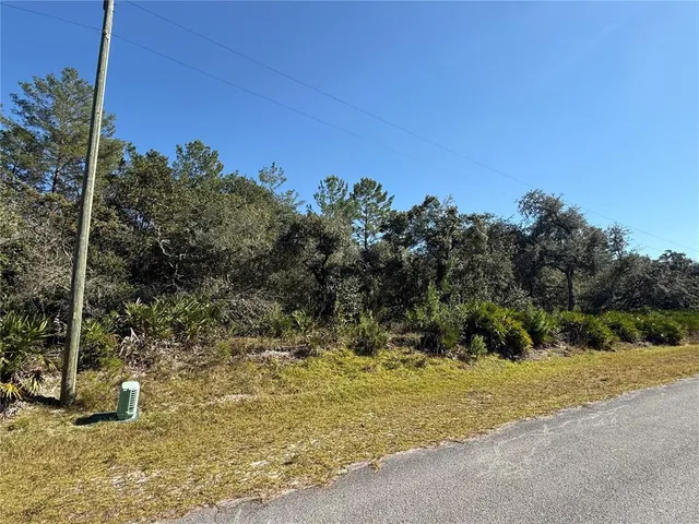 $89,000 | Ligustrum Street, Eustis, FL 32736