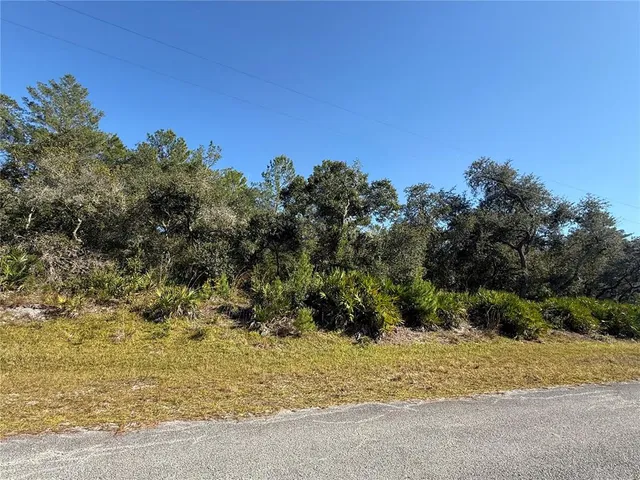 $89,000 | Ligustrum Street, Eustis, FL 32736