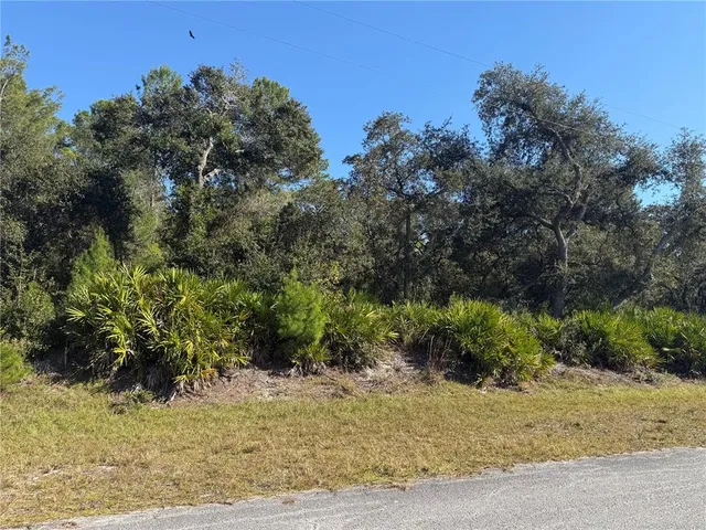 $89,000 | Ligustrum Street, Eustis, FL 32736