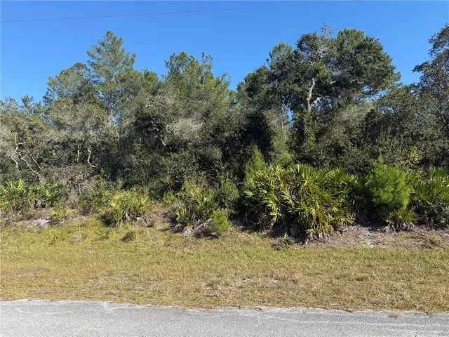 $89,000 | Ligustrum Street, Eustis, FL 32736