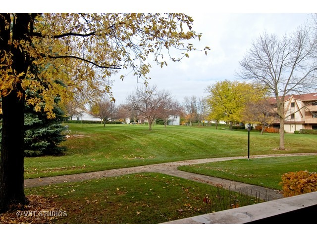 12 Parkside Court, Unit 4 Vernon Hills, IL 60061 - Photo 15 of 16 a view of field with grass and trees