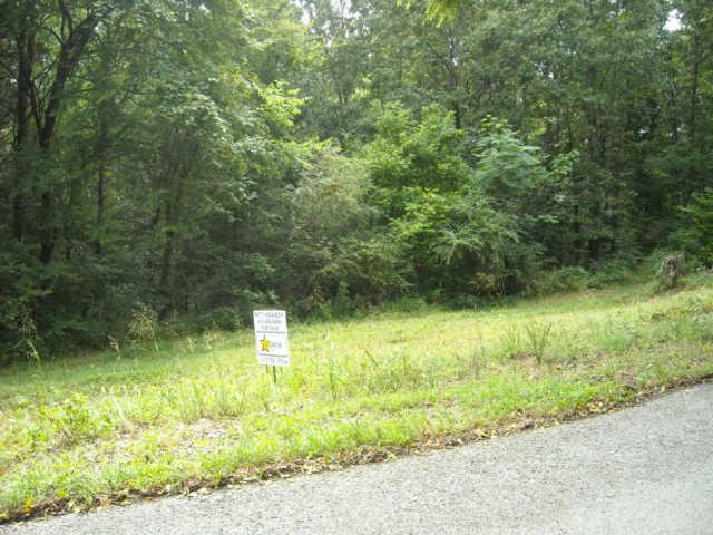 7 Ben Collier Road Charlotte, TN 37036 - Photo 1 of 1 Gallery Image 1