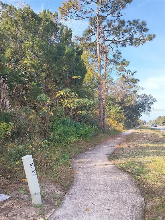 0 Doyle Road Deltona, FL 32725 - Photo 7 of 7 a view of a dry yard with trees