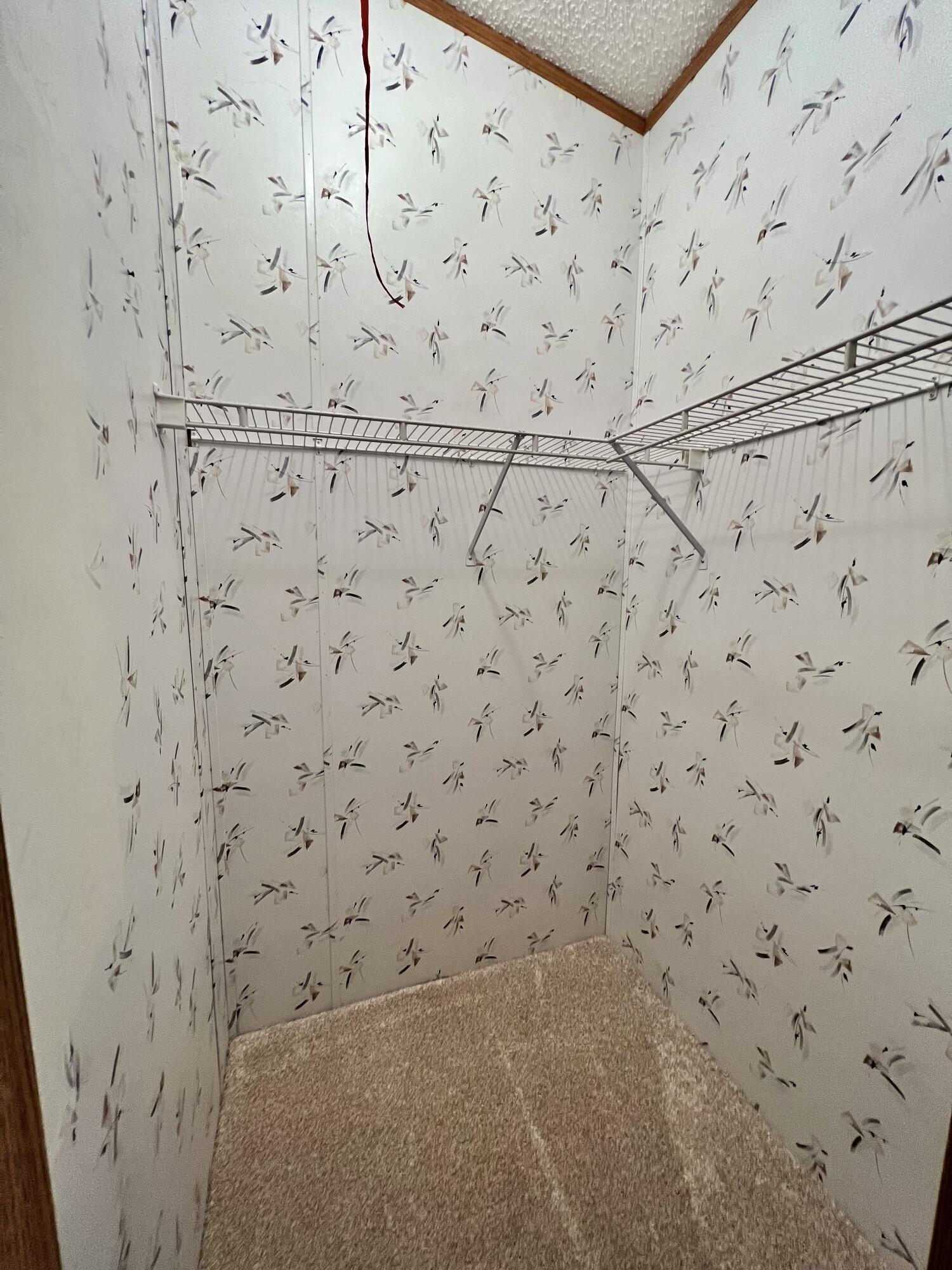 1483 South Sullivan Road Ravenna, MI 49451 - Photo 22 of 32 Walk in closet 1