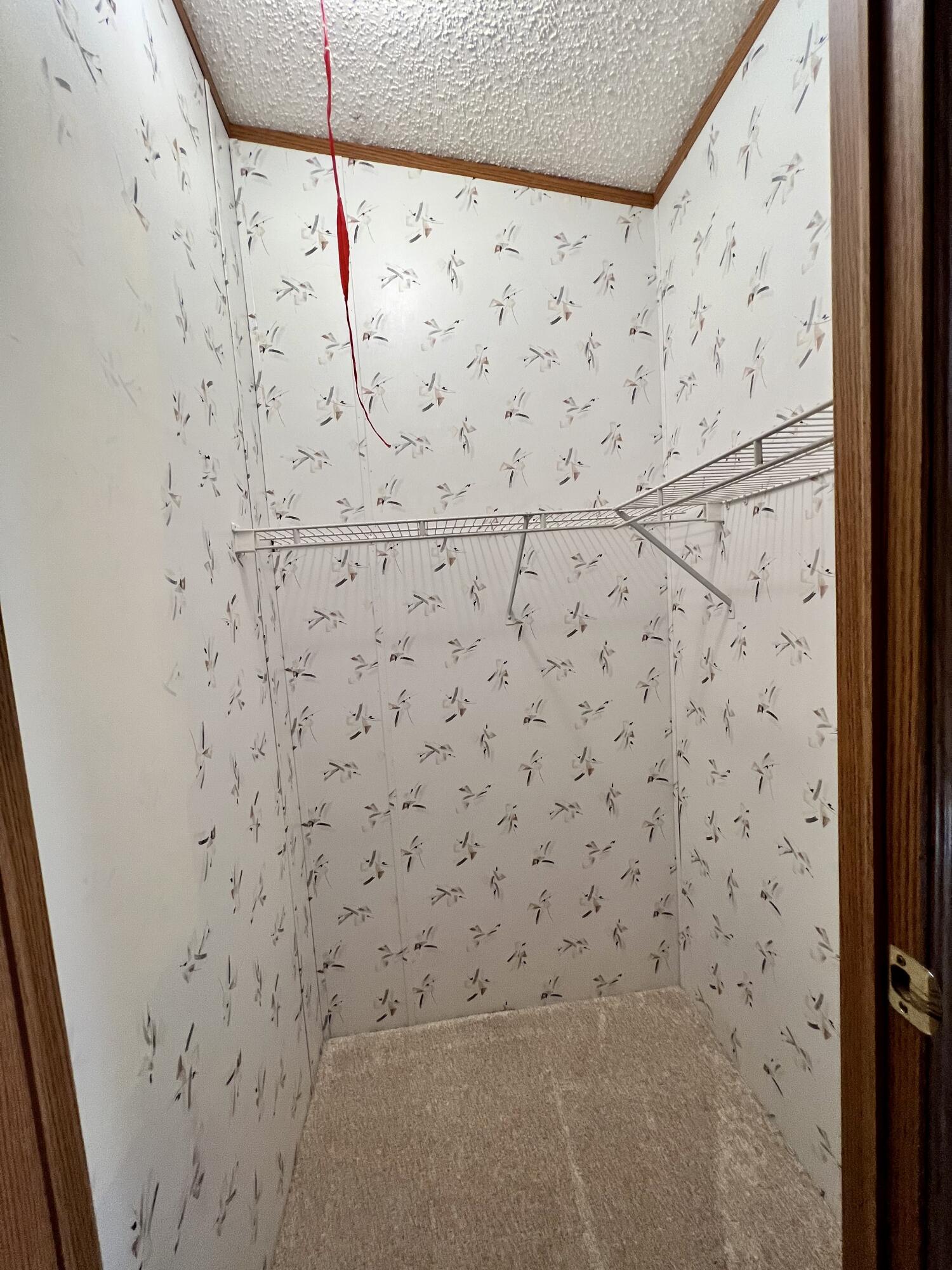 1483 South Sullivan Road Ravenna, MI 49451 - Photo 23 of 32 Walk in closet 2