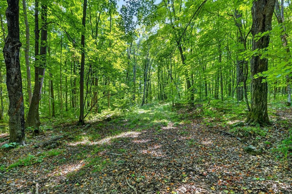 3 Comet Road Birchwood, WI 54817 - Photo 12 of 27 Gallery Image 12