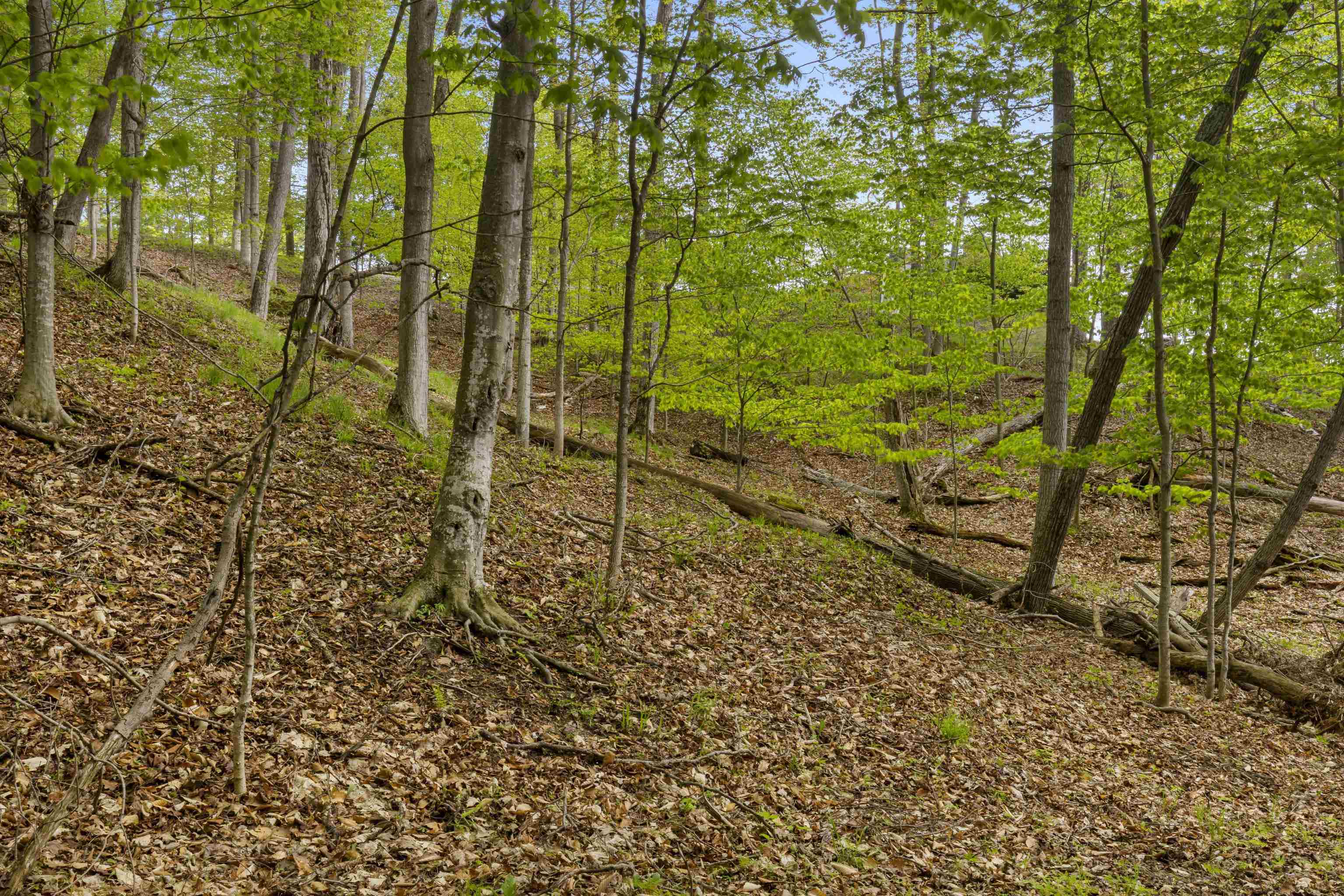 3151 Crystal Drive, Unit A Beulah, MI 49617 - Photo 67 of 69