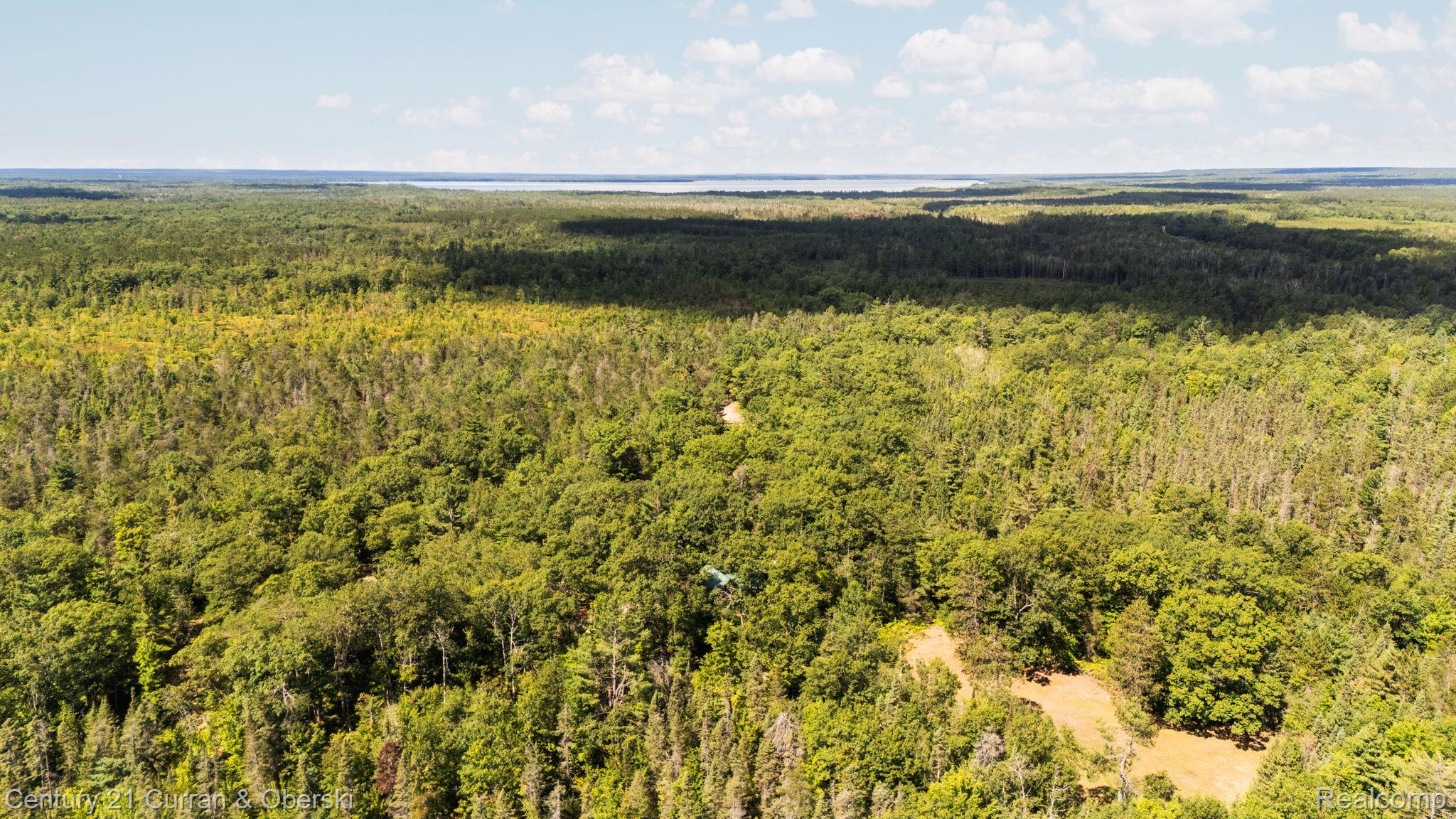 3265 Roost Road Onaway, MI 49765 - Photo 5 of 52 Bird's eye view of a heavily wooded area