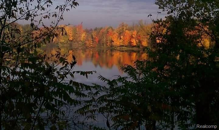 5612 Jefferson Road North Branch, MI 48461 - Photo 17 of 17 fall view.jpg