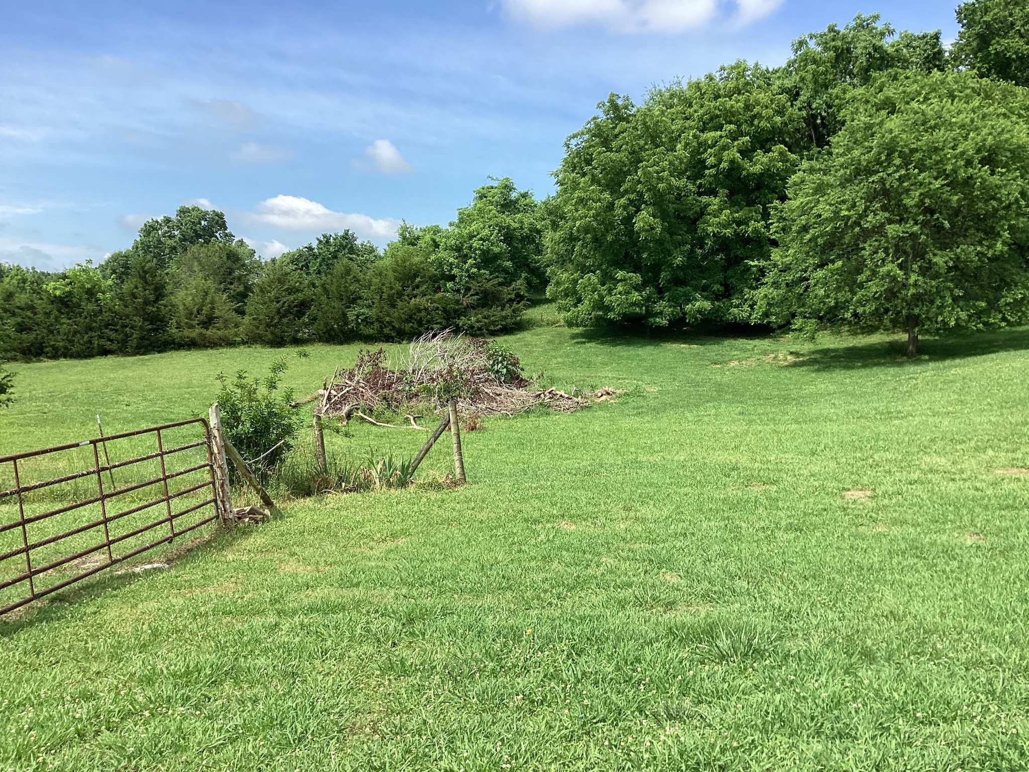 1753 Lasea Road Spring Hill, TN 37174 - Photo 15 of 19 Gallery Image 15