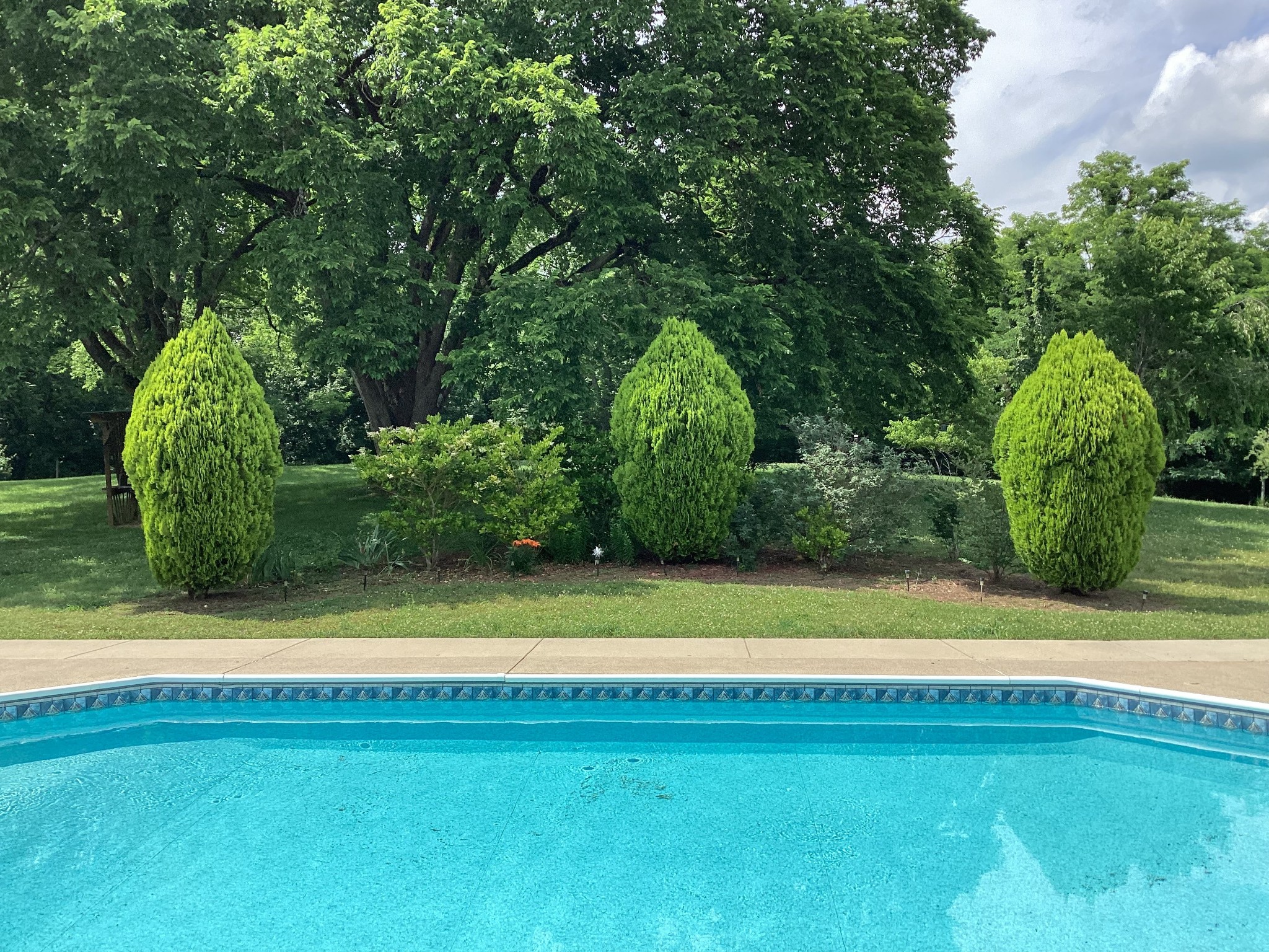 1753 Lasea Road Spring Hill, TN 37174 - Photo 18 of 19 Gallery Image 18