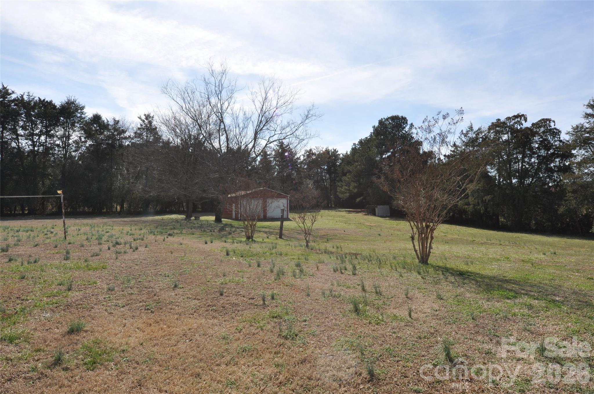 1316 Cornwell Road Blackstock, SC 29014 - Photo 27 of 48 a view of backyard with green space
