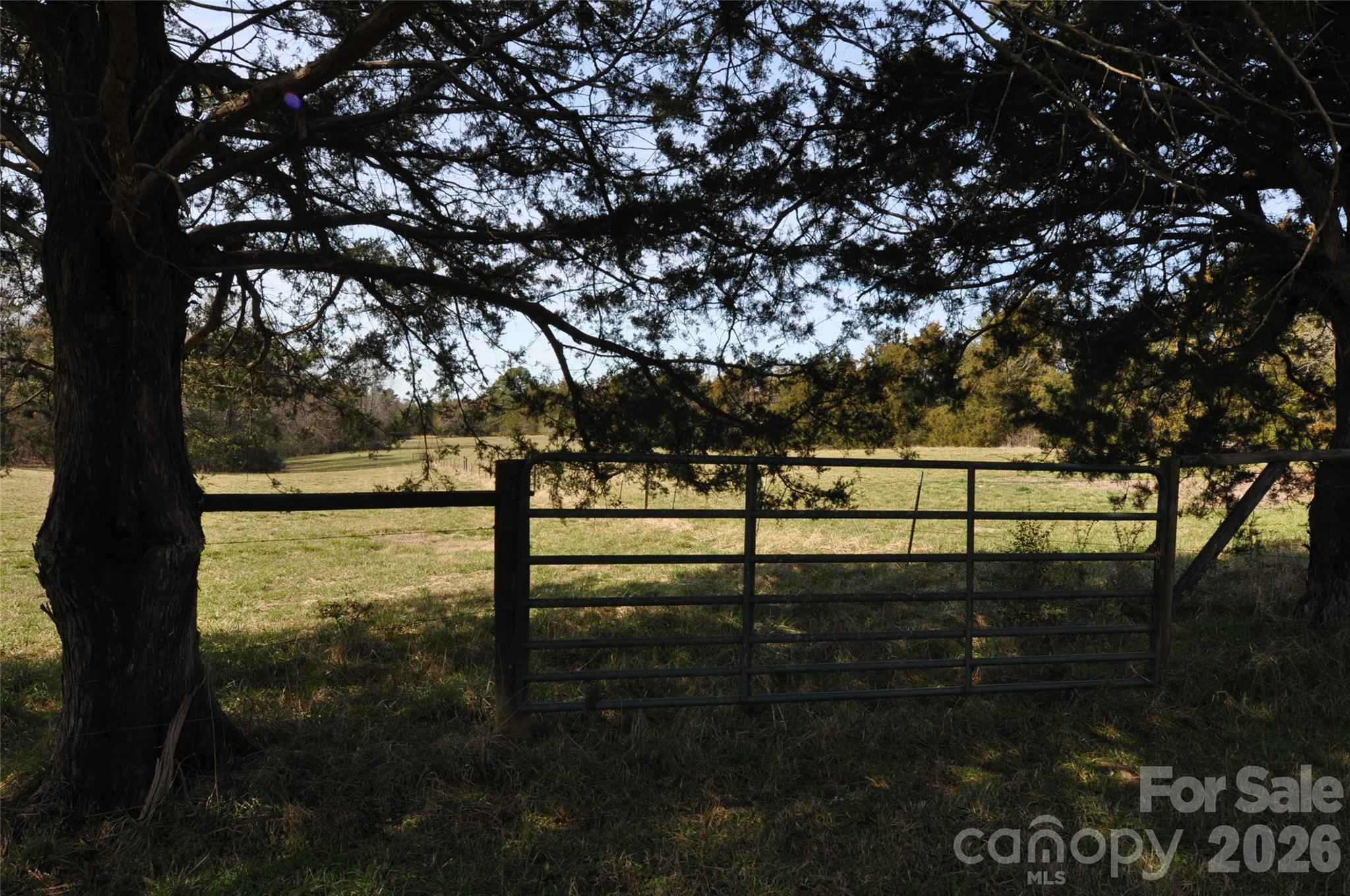 1316 Cornwell Road Blackstock, SC 29014 - Photo 32 of 48 a view of a yard