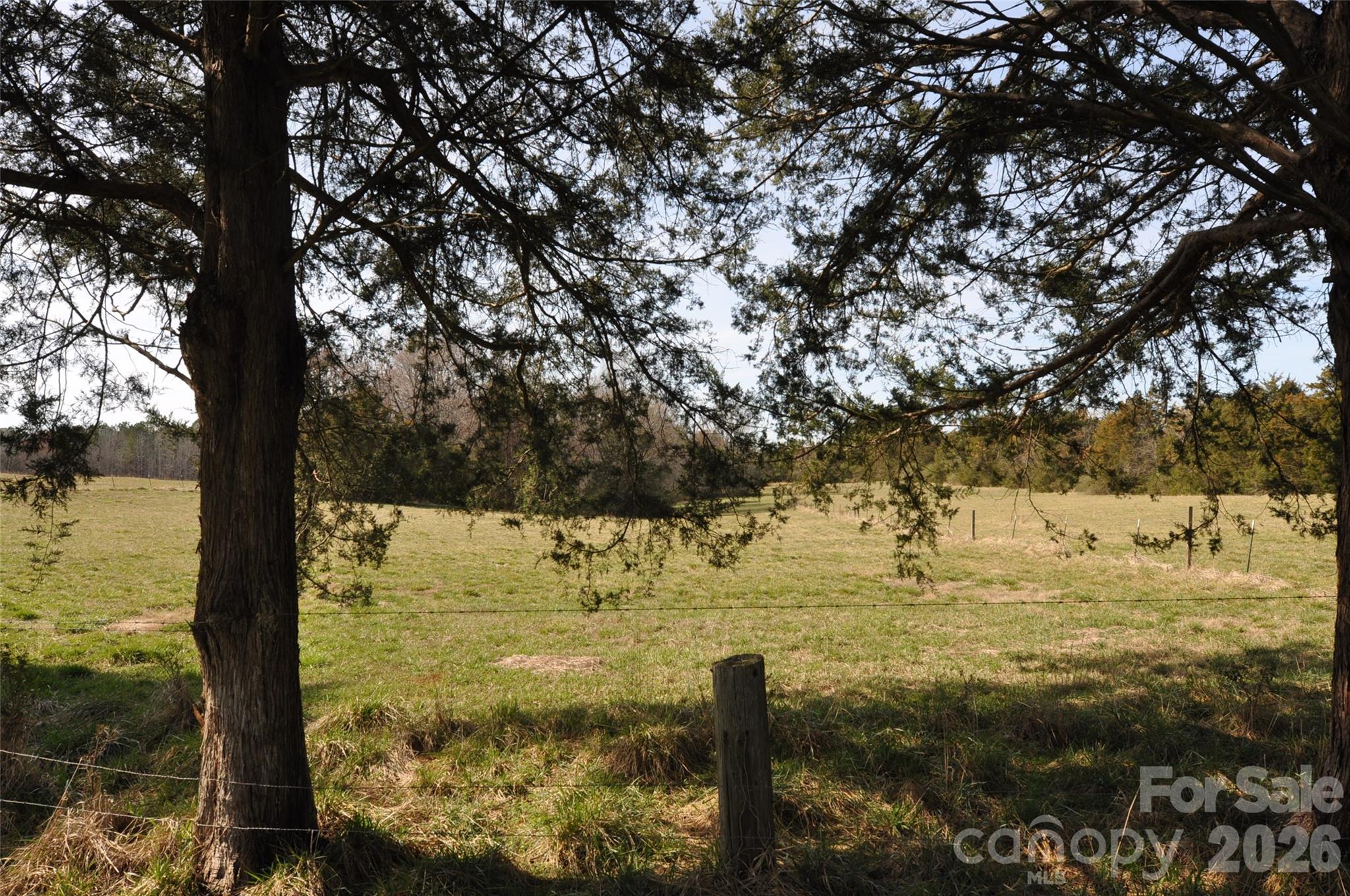 1316 Cornwell Road Blackstock, SC 29014 - Photo 33 of 48 a view of a yard with an outdoor space