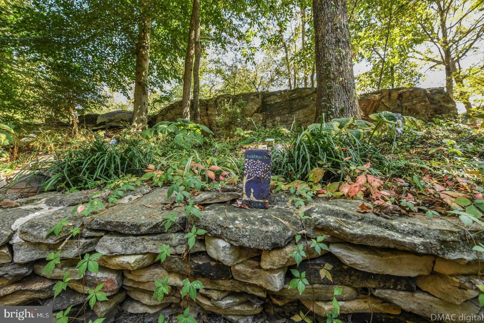 6786 Balmoral Ridge New Market, MD 21774 - Photo 34 of 36 Front "library" garden!