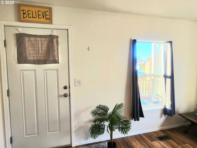 a potted plant in front of a door