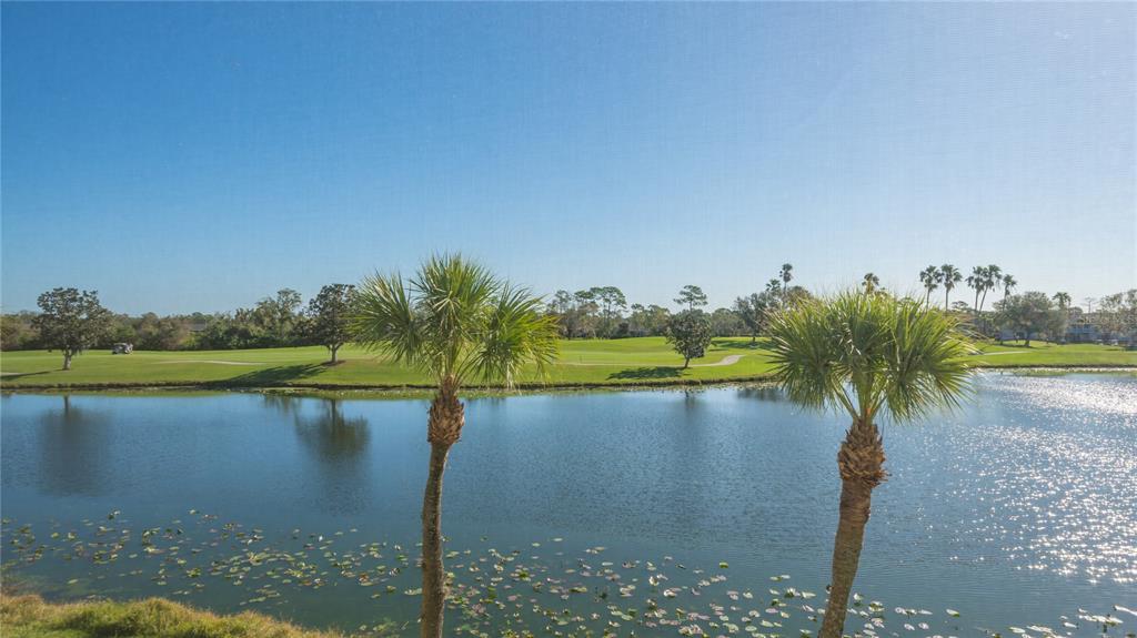 5241 Mahogany Run Avenue, Unit 425 Sarasota, FL 34241 - Photo 4 of 26
