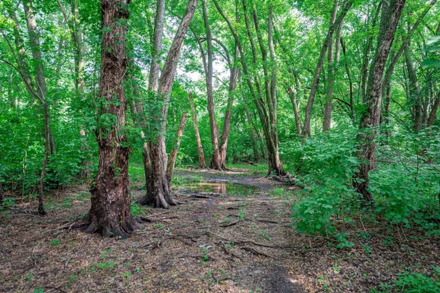 $255,000 | Xxx North Perry Avenue, South Beloit, IL 61080