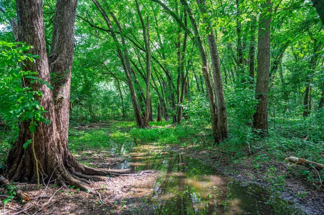 $255,000 | Xxx North Perry Avenue, South Beloit, IL 61080