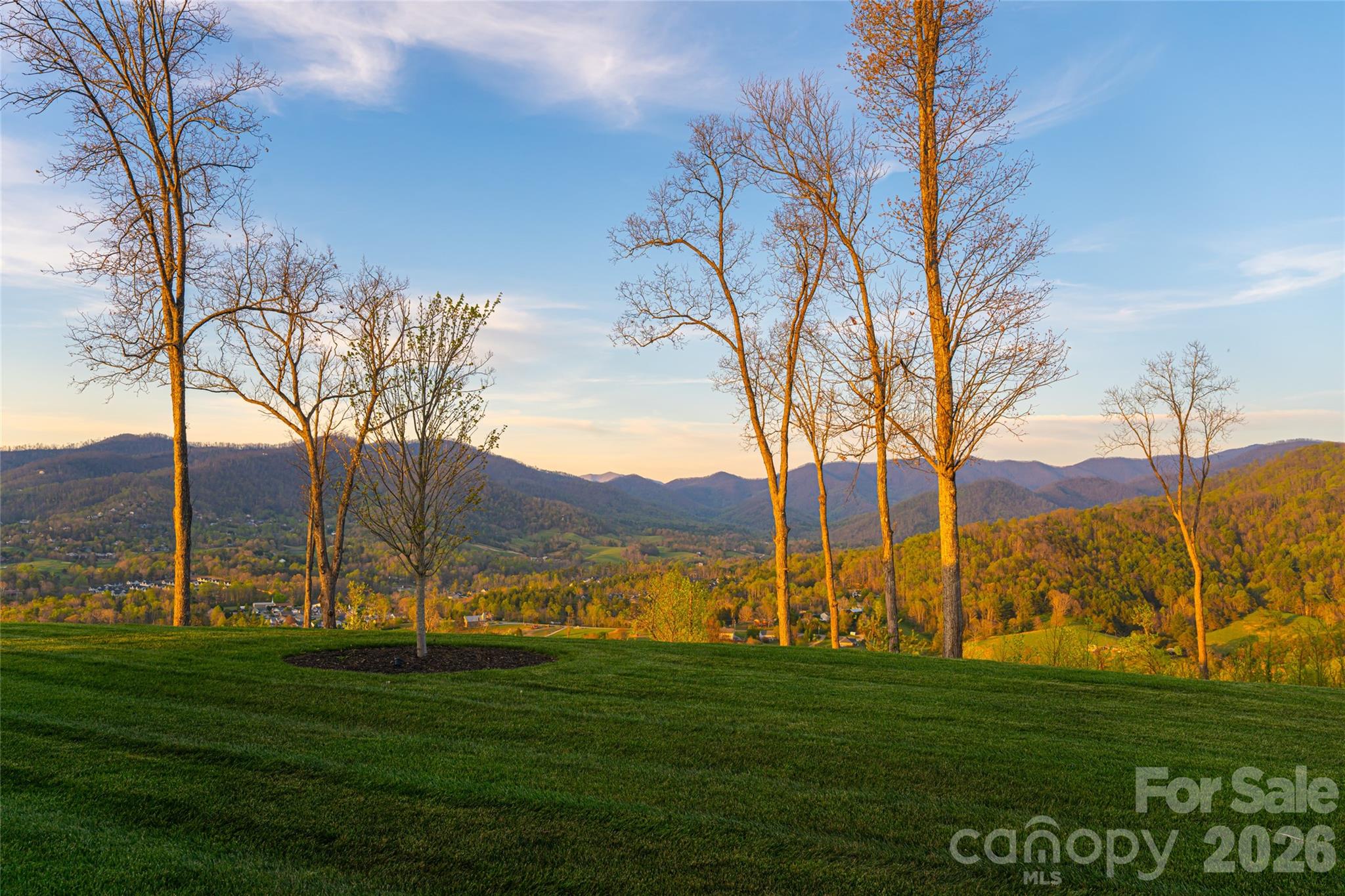 170 Bear Vw Road Weaverville, NC 28787 - Photo 5 of 48