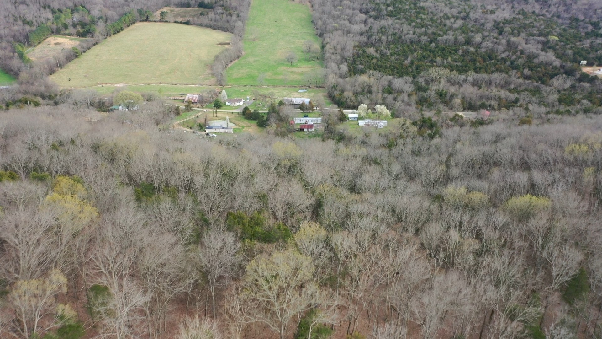 163 Wilburn Hollow Road Riddleton, TN 37151 - Photo 4 of 10