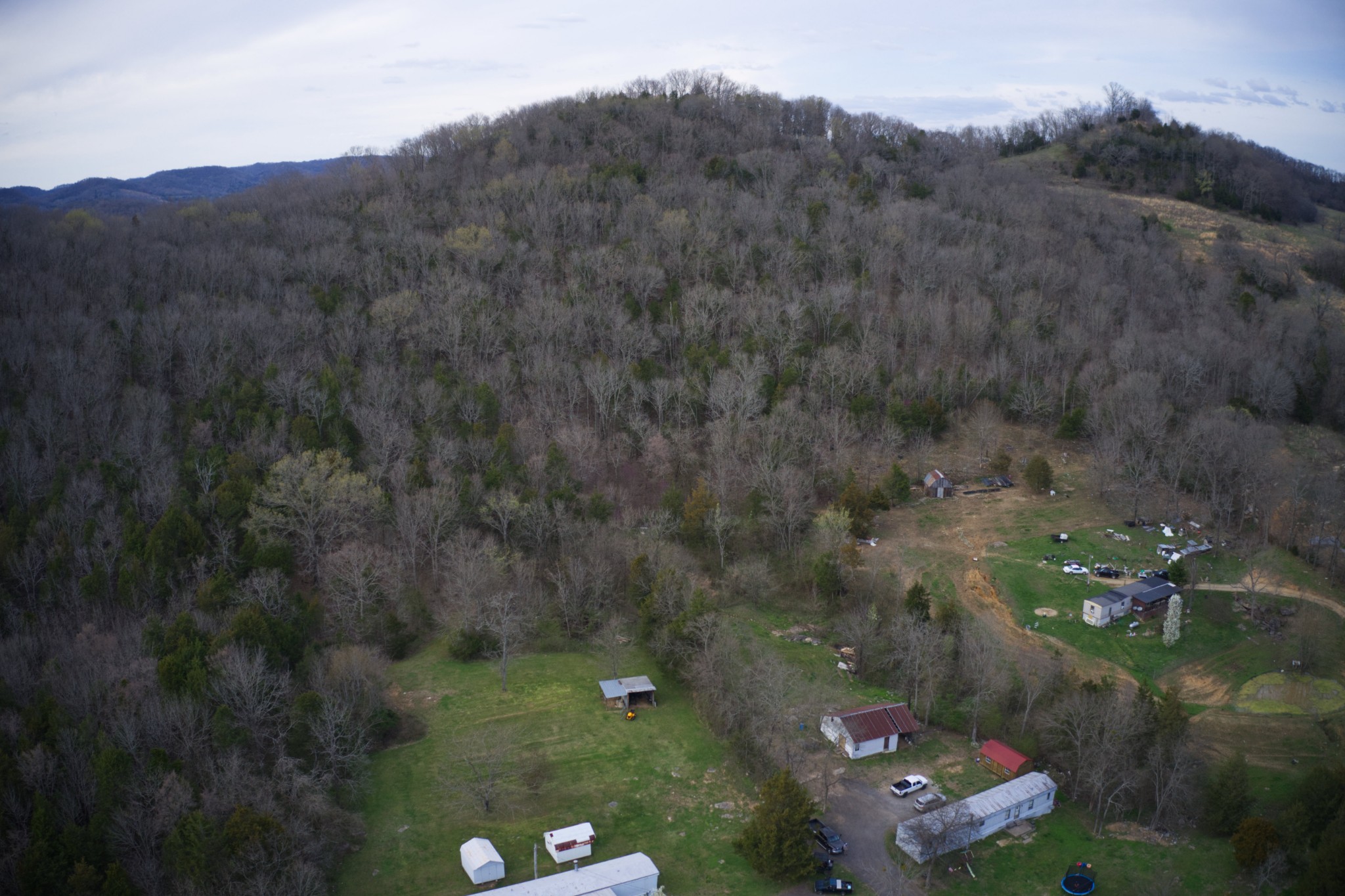 163 Wilburn Hollow Road Riddleton, TN 37151 - Photo 9 of 10 a view of a bunch of trees in a field