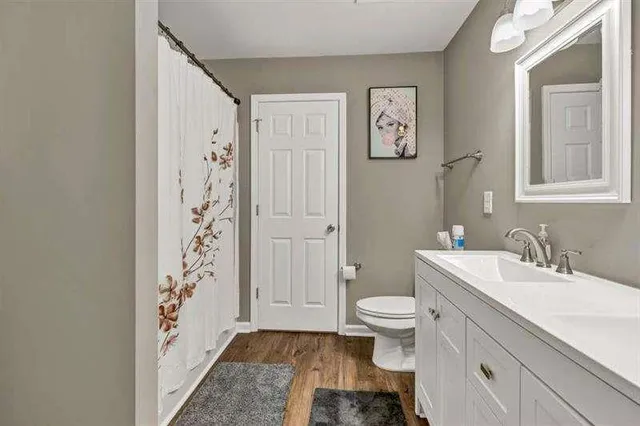 a bathroom with a sink a toilet and shower curtain
