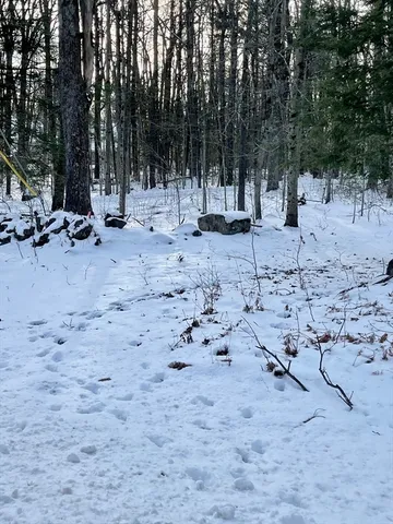 a view of outdoor space with water fountain