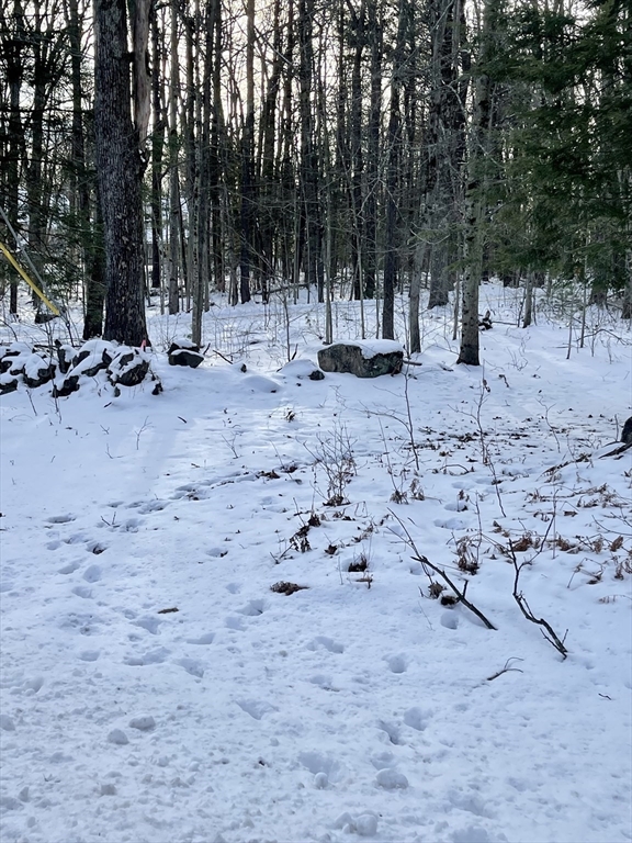 Lot 6 Colebrook River Road Tolland, MA 01034 - Photo 4 of 4 a view of outdoor space with water fountain