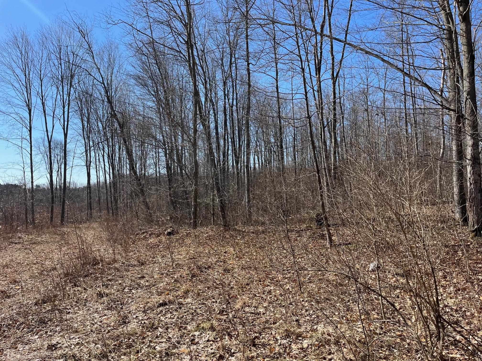 3 King Road, Unit LOT: 3 Benzonia, MI 49616 - Photo 1 of 14