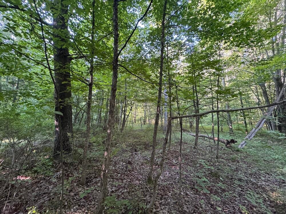 East Procunier Road Harrisville, MI 48740 - Photo 77 of 78 Gallery Image 77