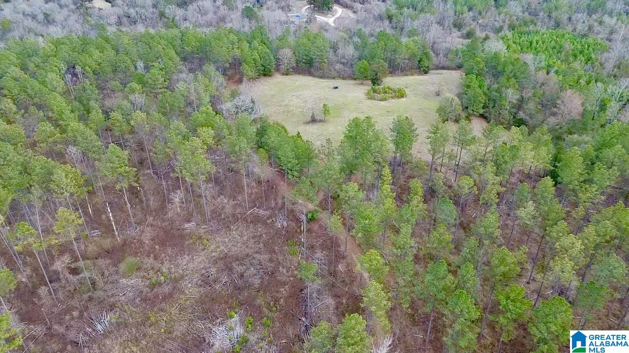 576 Gunlock Street Montevallo, AL 35115 - Photo 58 of 76