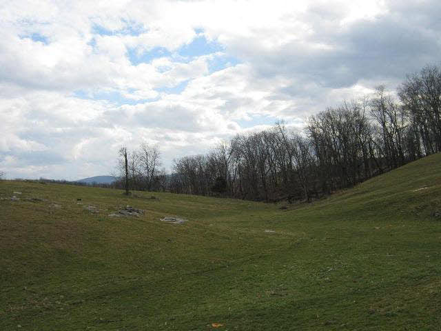 9778 Phillips Store Road Broadway, VA 22815 - Photo 6 of 8 Gallery Image 6