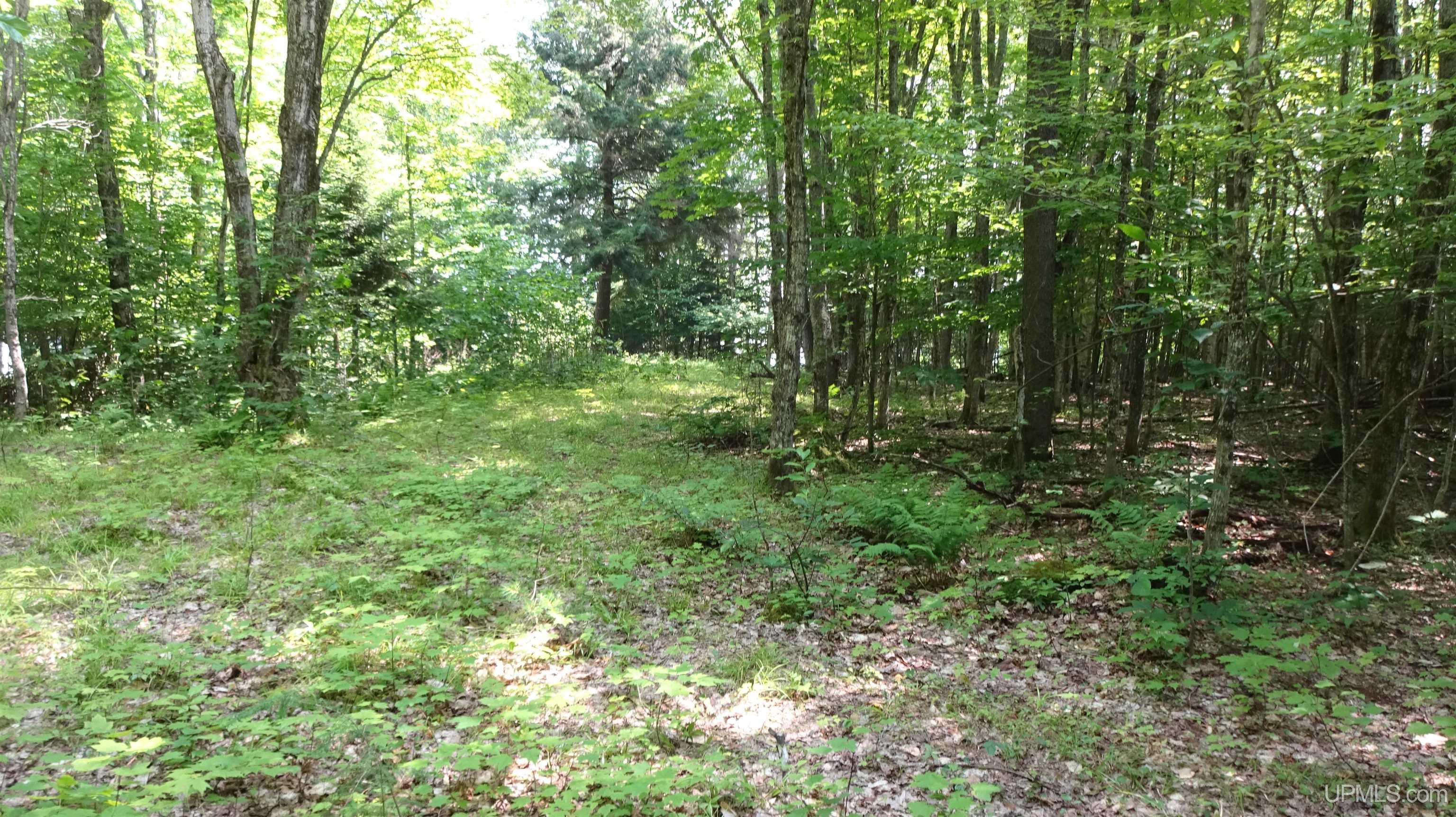 Tbd Autrain Forest Lake Road Au Train, MI 49806 - Photo 13 of 15