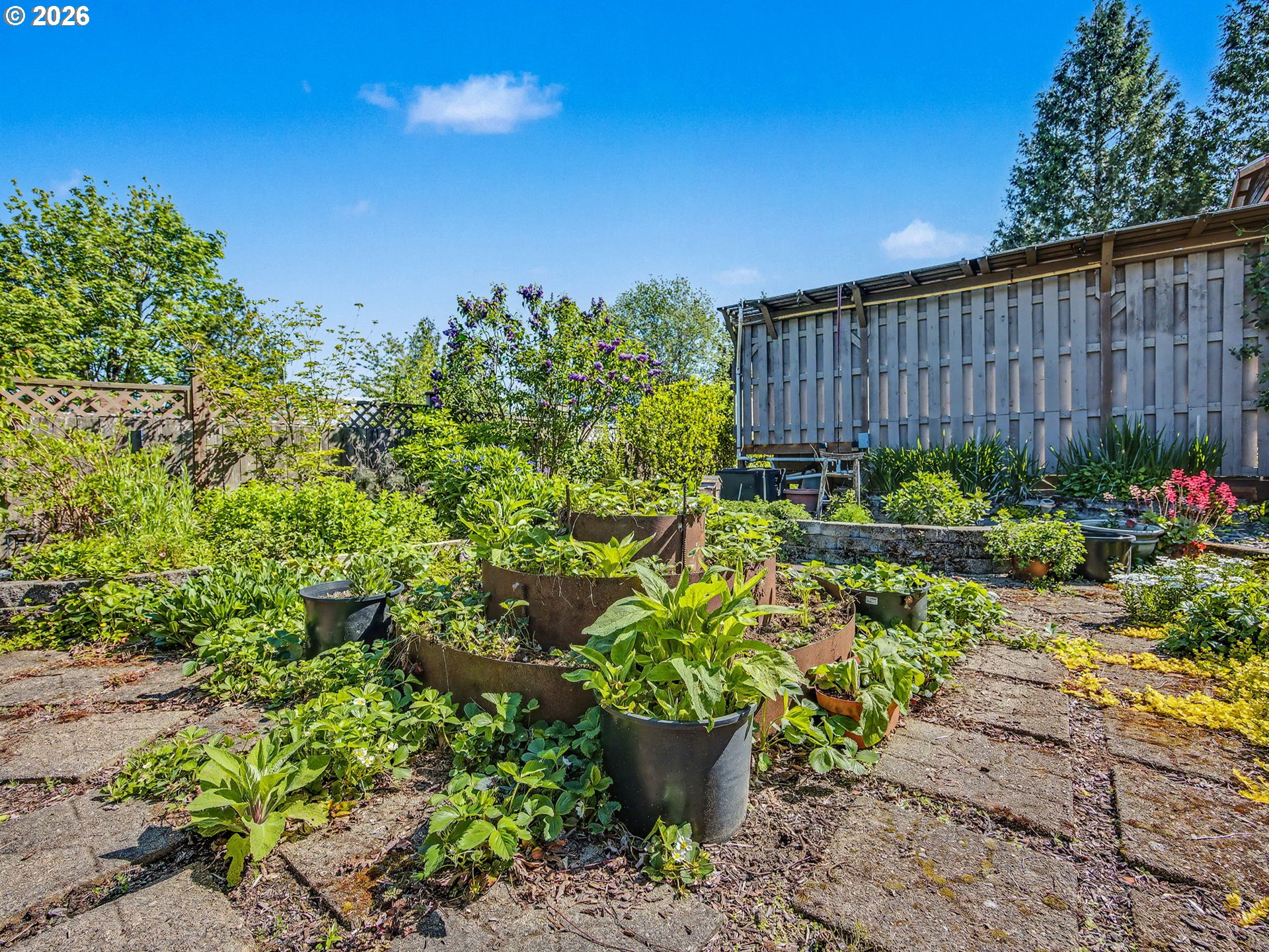 407 Southwest 7th Street Gresham, OR 97080 - Photo 42 of 48 a garden with plants and wooden fence