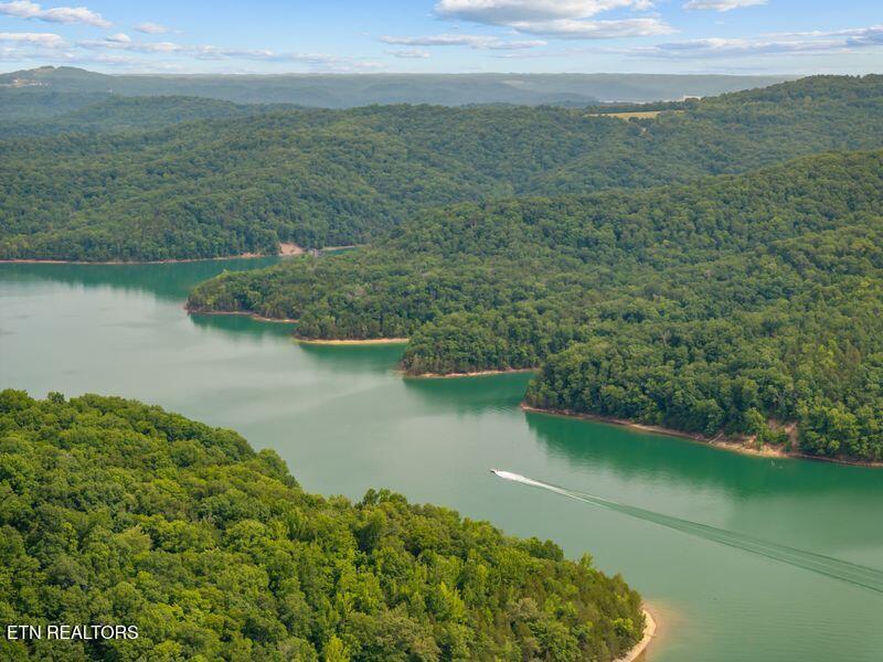 976 Livingston Boatdock Road Allons, TN 38541 - Photo 15 of 21 gedwill use 10