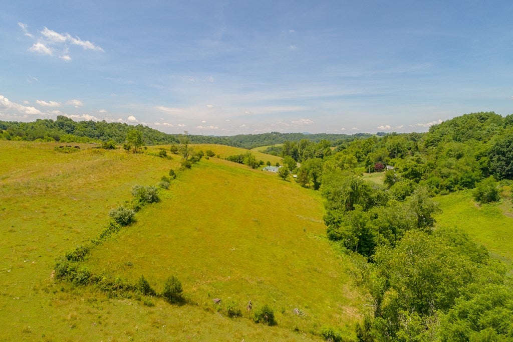 Tbd Pine Run Road, Unit 2 3 4&5 Draper, VA 24324 - Photo 15 of 41 Gallery Image 15