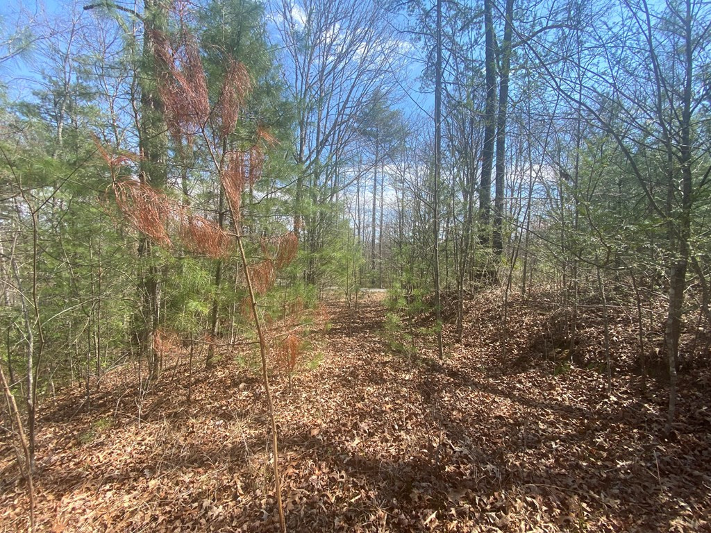 0 Hilltop Road Murphy, NC 28906 - Photo 10 of 16