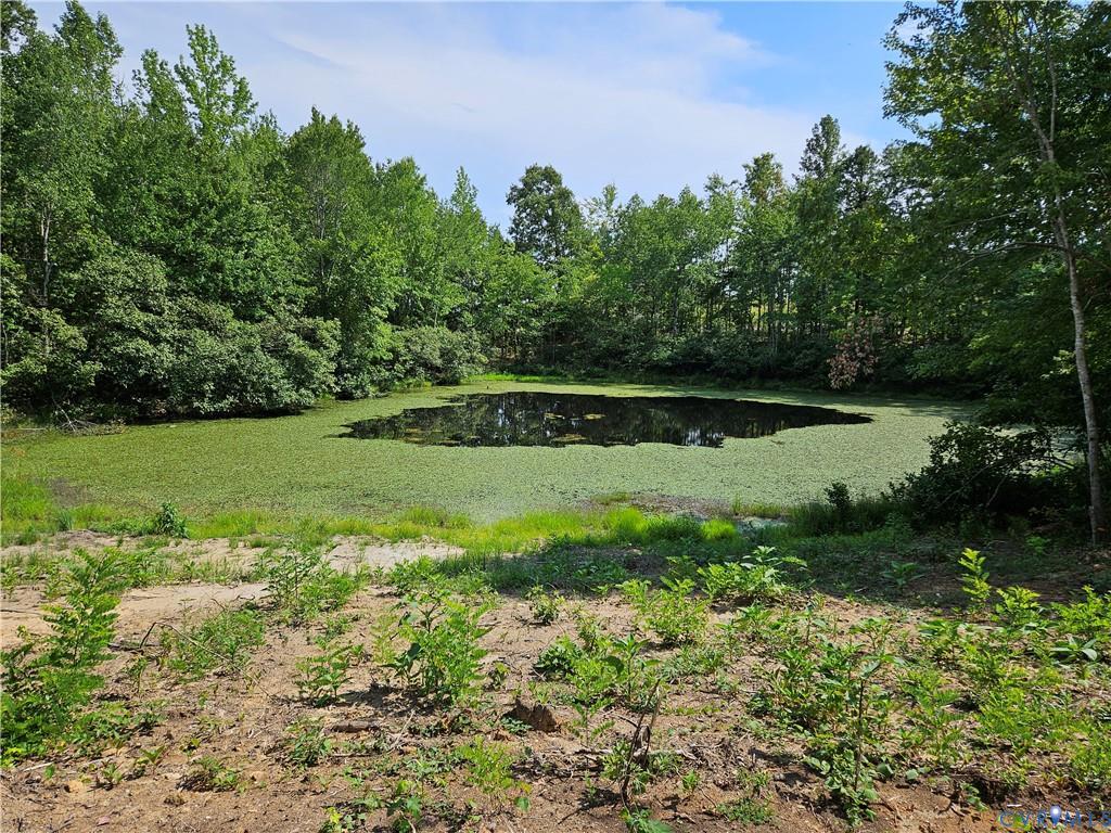Selma Road Jetersville, VA 23083 - Photo 1 of 11 Gallery Image 1