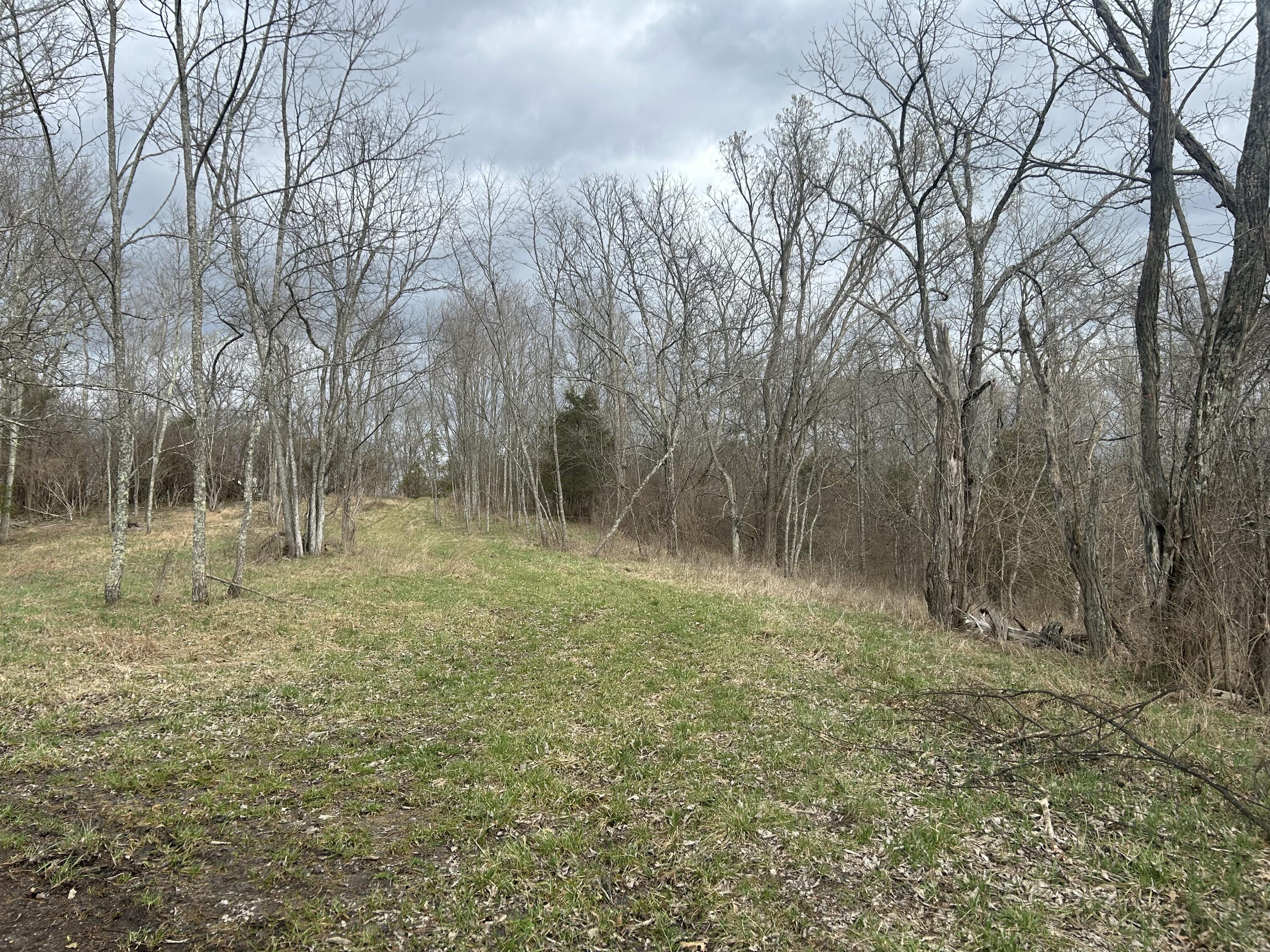 Lot # New Zion Road Falmouth, KY 41040 - Photo 8 of 9